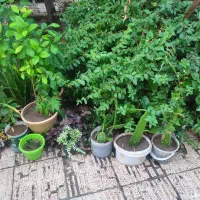 مقداری لوازم شخصی و مازاد بفروش میرسد|حراج|زنجان, |دیوار