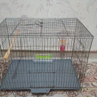قفس پرنده