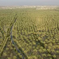 کشاورز برای چاه پیر