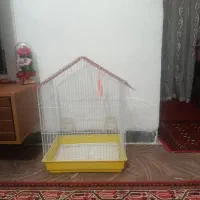 قفس