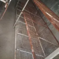 قفسه قارچ و تاب ریلکسی