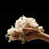 پشم گوسفندی شستشو ‌شده|رختخواب، بالش، پتو|خسروشاه, |دیوار