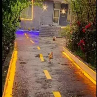 خانه 600 متری  با تمام وسایل منزل دنگلان