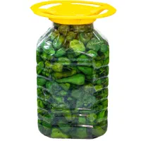 ترشی فلفل(مخصوص دورچین هاتون )|عمدهفروشی|رشت, شهرک صنعتی|دیوار