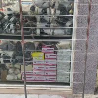 رگال فلزی مناسب کاغذ کادو و شال و روسری و ...|فروشگاه و مغازه|اندیمشک, |دیوار