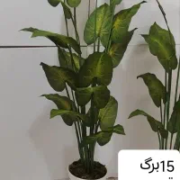 گلها و درختچه های مصنوعی|گل مصنوعی|رباطکریم, رباطکریم|دیوار