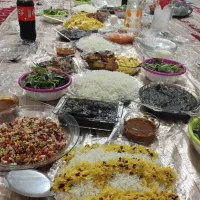 به یک نفر منشی خانم  برای تهیه غذا نیازمندیم