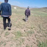 زمین|فروش دفتر صنعتی، کشاورزی، تجاری|آشتیان, |دیوار