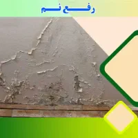 رفع نمزدگی، رطوبت،چکه،شوره بدون خرابی لوله کشی|خدمات پیشه و مهارت|مشهد, الهیه|دیوار