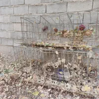 قفس مرغ تخمگذار منبری|لوازم جانبی حیوانات|تفت, |دیوار