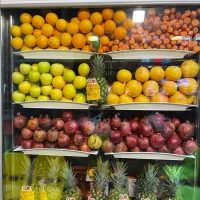 استخدام پرسنل ظرفشور