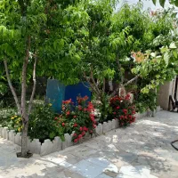باغ-520-متری-دور-دیوار-توس-75-پرکند-آباد