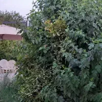 مشاور صدری/فروش زمین3هزارمتری/ترانزیت شوش/ کد19308