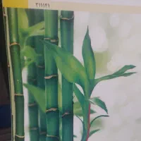تدریس خصوصی ریاضی