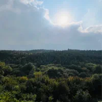 پیش فروش ویژه واحد های خاص،شرایط استثنایی «صیاد»|پیش‌فروش املاک|گرگان, |دیوار