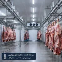 تولید و اجرای سردخانه گوشت صنعتی سفارشی