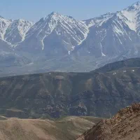 کود گوسفندی