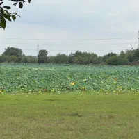 زیر-زمین-تجاری-شهرک-سیمرغ