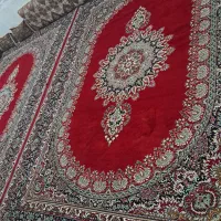 دو عدد قالی 12 متری