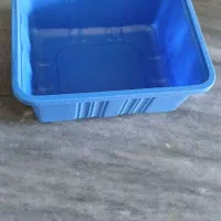 ظرف بسته بندی قارچ|ظروف نگهدارنده، پلاستیکی، یکبارمصرف|بندر ترکمن, |دیوار