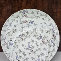 آرکوپال ۲۶ پارچه مقصود(دینو)|ظروف سرو و پذیرایی|اصفهان, پروین|دیوار