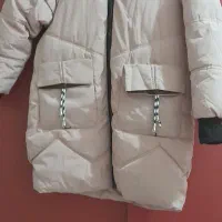 دوعدد کاپشن|لباس|رشت, نظری|دیوار