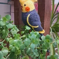 عروس هلندی|صنایع دستی و سایر لوازم تزئینی|کرمان, |دیوار