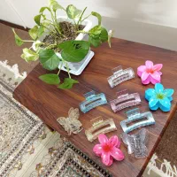 فروش انواع کش مو و کلیپس و وسایل اریشگاه|زیورآلات و اکسسوری|فلاورجان, |دیوار