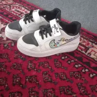 کتونی|کیف، کفش، کمربند|بروجرد, |دیوار