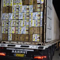 مرکز پخش کارتن موز ترکیان|عمدهفروشی|همدان, |دیوار