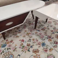 جلو مبلی|مبلمان خانگی و میز عسلی|سنندج, |دیوار