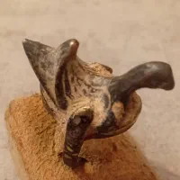 انگشتر کهنه باستانی الکتروم