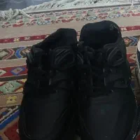 قیمت ۳۰۰ هزار تومان