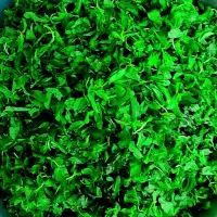 نمک سبز (دلار)|خوردنی و آشامیدنی|رشت, سعدی (تختی)|دیوار