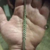 ۳۰ گرم نقره