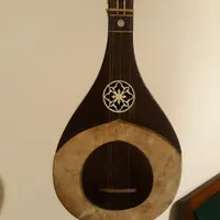 سه تار  شورانگیز