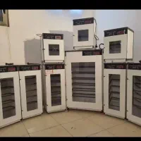 دستگاه جوجه کشی