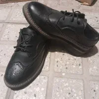 کفش مجلسی