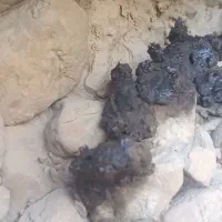 میمنه-میمنایی-مومیایی-شیره کوه