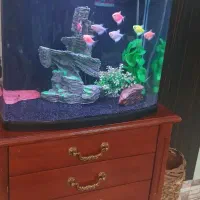 آکواریم دو کاره