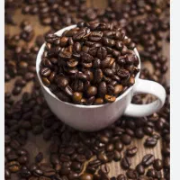 نیرو خانم جهت کار در کافه