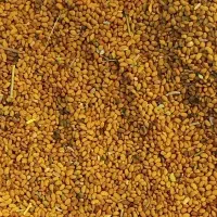 تخم یونجه