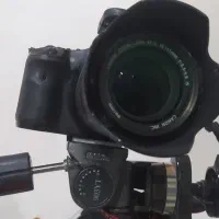عکاس خانم ماهر و مبتدی