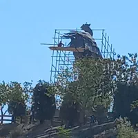 داربست عرش نو