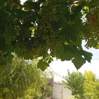 منزل ویلایی مسکونی ۳۰۰متر
