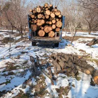 خریدهمه نوع چوب