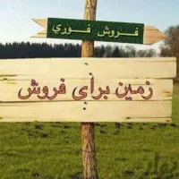 زمین نقلی و اقتصادی