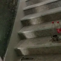 کاشی و سرامیک کاری ونصب تابلو سرامیک و تخریب پیکر|خدمات پیشه و مهارت|زاهدان, |دیوار