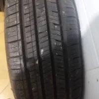 لاستیک|قطعات یدکی و لوازم جانبی|مریوان, |دیوار