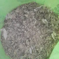 بار کفتر